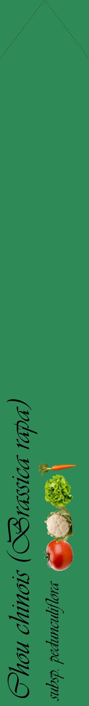 Étiquette de : Brassica rapa subsp. pedunculiflora - format c - style noire11_simpleviv avec comestibilité simplifiée