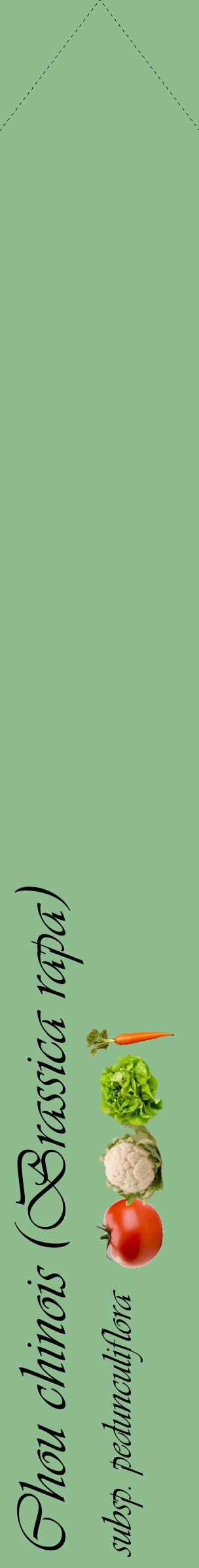 Étiquette de : Brassica rapa subsp. pedunculiflora - format c - style noire13_simpleviv avec comestibilité simplifiée