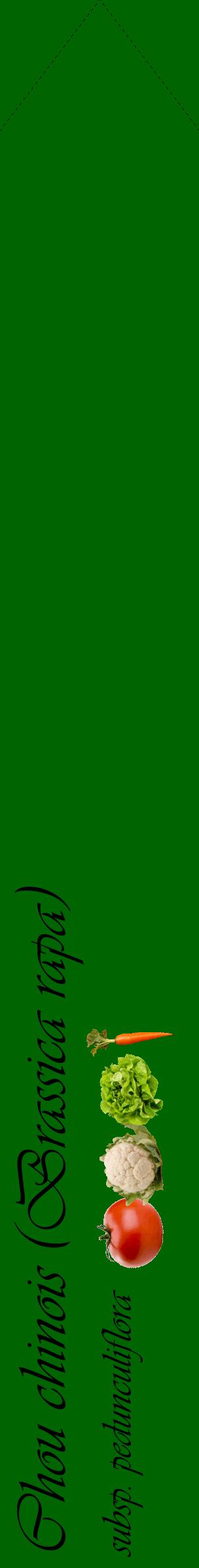 Étiquette de : Brassica rapa subsp. pedunculiflora - format c - style noire8_simpleviv avec comestibilité simplifiée
