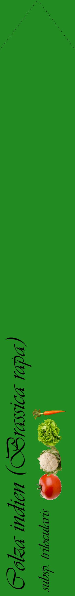 Étiquette de : Brassica rapa subsp. trilocularis - format c - style noire10_simpleviv avec comestibilité simplifiée