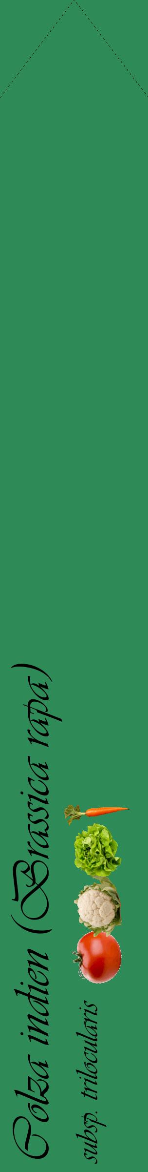 Étiquette de : Brassica rapa subsp. trilocularis - format c - style noire11_simpleviv avec comestibilité simplifiée