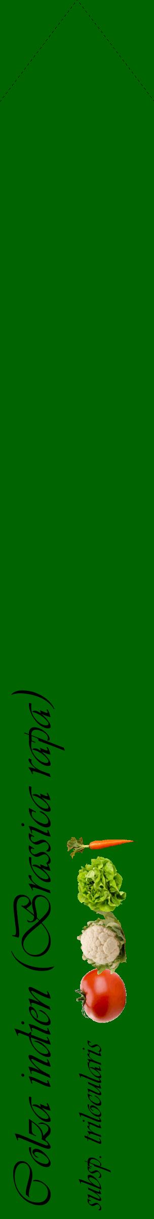 Étiquette de : Brassica rapa subsp. trilocularis - format c - style noire8_simpleviv avec comestibilité simplifiée
