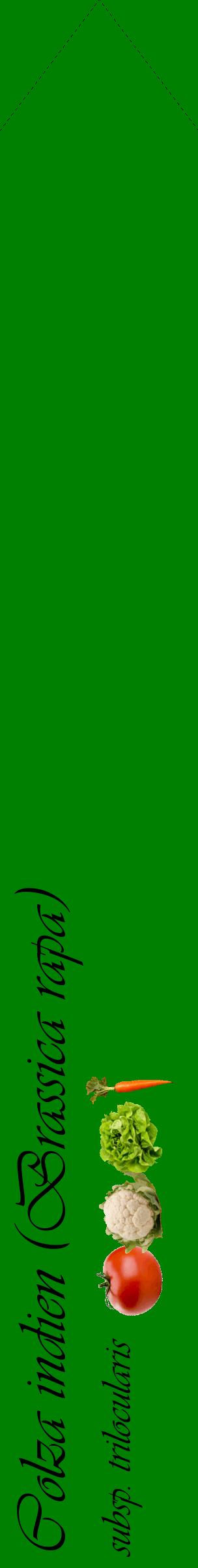 Étiquette de : Brassica rapa subsp. trilocularis - format c - style noire9_simpleviv avec comestibilité simplifiée