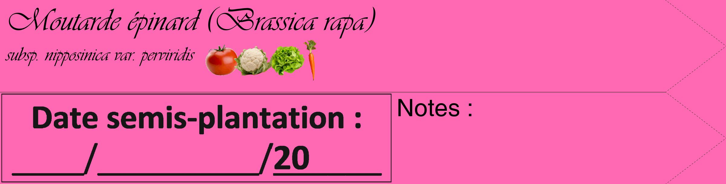 Étiquette de : Brassica rapa subsp. nipposinica var. perviridis - format c - style noire42_simple_simpleviv avec comestibilité simplifiée