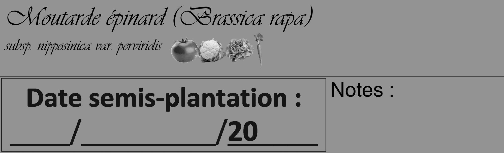 Étiquette de : Brassica rapa subsp. nipposinica var. perviridis - format c - style noire44basique_basique_basiqueviv avec comestibilité simplifiée