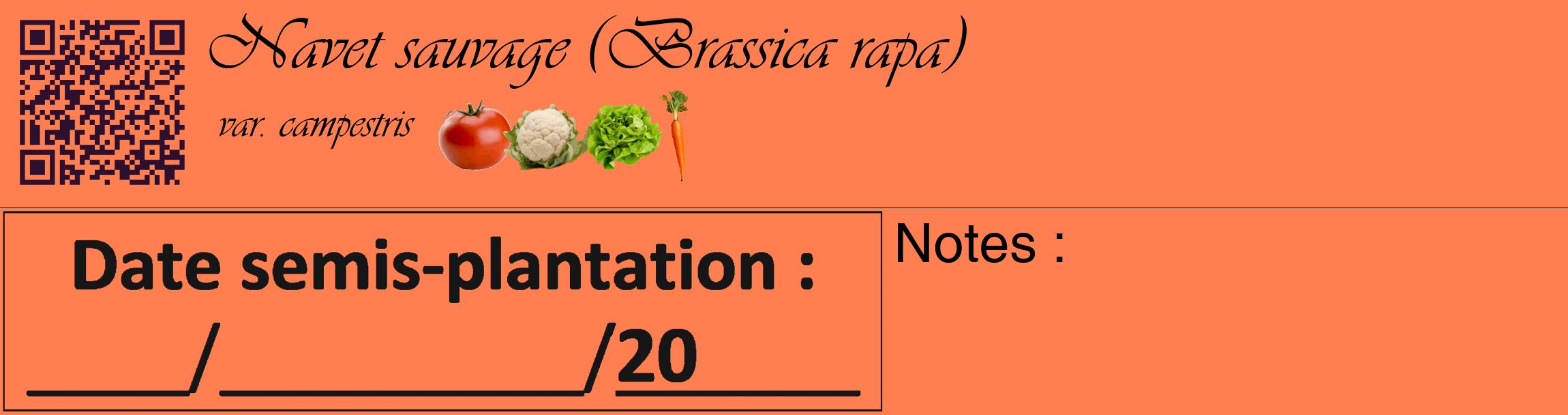 Étiquette de : Brassica rapa var. campestris - format c - style noire24_basique_basiqueviv avec qrcode et comestibilité simplifiée