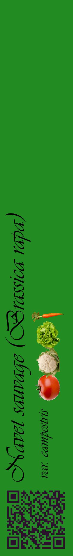 Étiquette de : Brassica rapa var. campestris - format c - style noire10_basiqueviv avec qrcode et comestibilité simplifiée