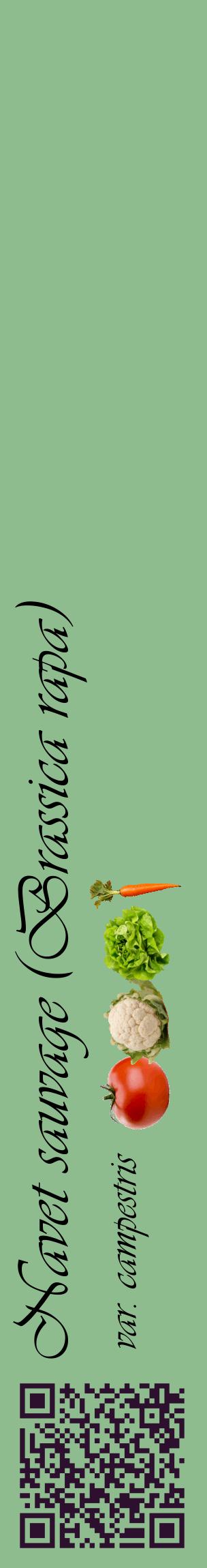 Étiquette de : Brassica rapa var. campestris - format c - style noire13_basiqueviv avec qrcode et comestibilité simplifiée
