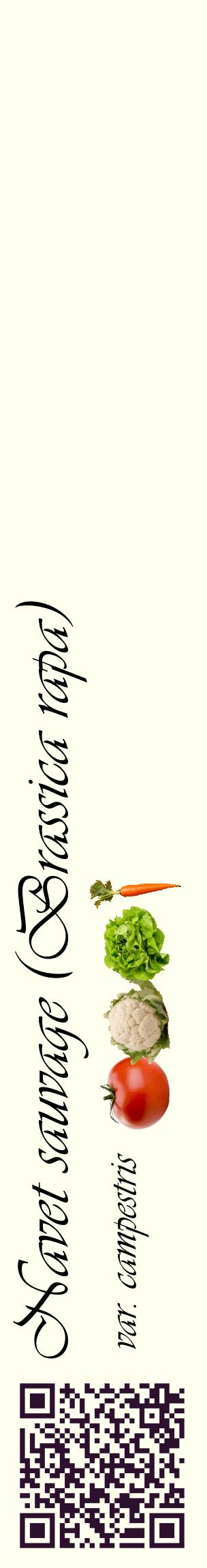 Étiquette de : Brassica rapa var. campestris - format c - style noire19_basiqueviv avec qrcode et comestibilité simplifiée