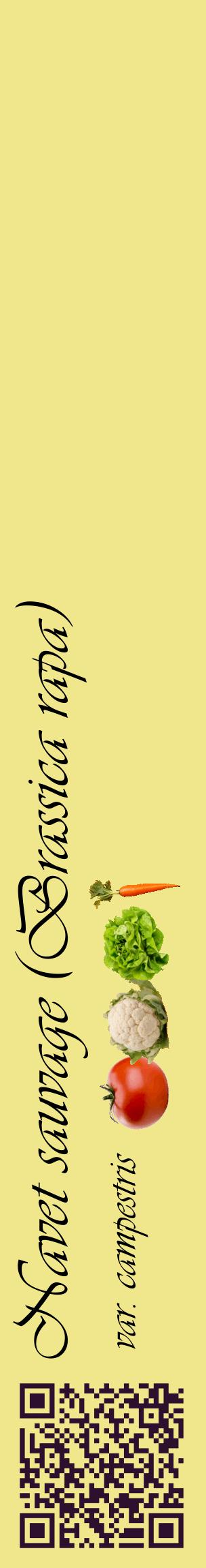 Étiquette de : Brassica rapa var. campestris - format c - style noire20_basiqueviv avec qrcode et comestibilité simplifiée