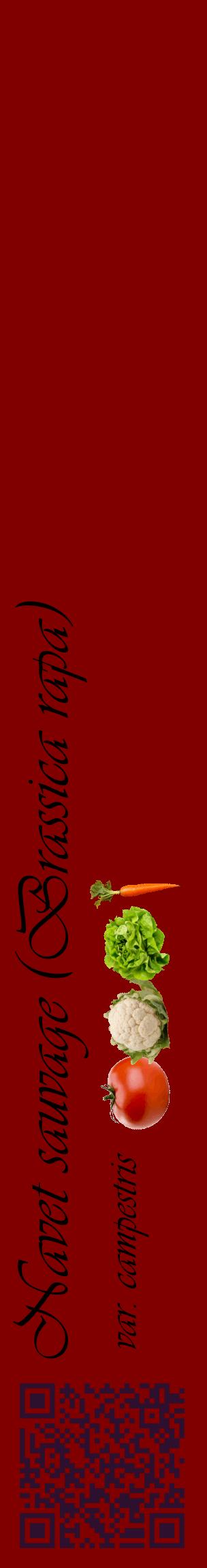 Étiquette de : Brassica rapa var. campestris - format c - style noire29_basiqueviv avec qrcode et comestibilité simplifiée