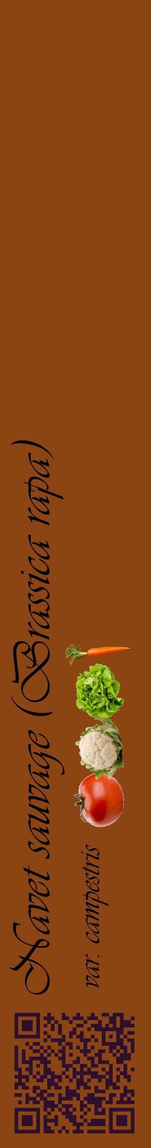 Étiquette de : Brassica rapa var. campestris - format c - style noire30_basiqueviv avec qrcode et comestibilité simplifiée