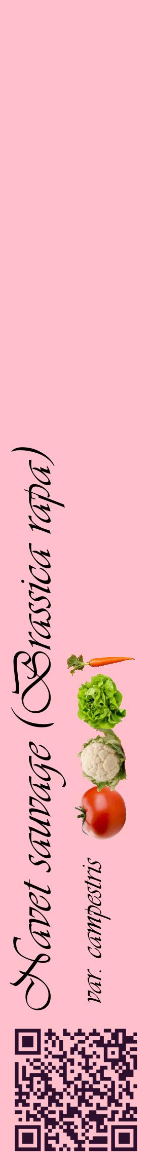 Étiquette de : Brassica rapa var. campestris - format c - style noire40_basiqueviv avec qrcode et comestibilité simplifiée