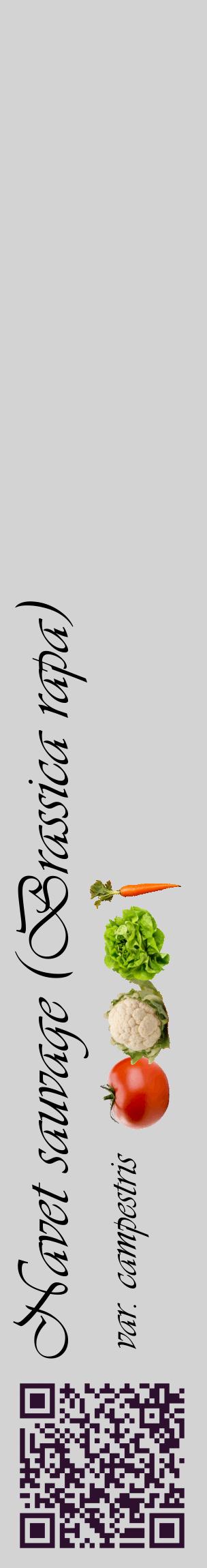 Étiquette de : Brassica rapa var. campestris - format c - style noire56_basiqueviv avec qrcode et comestibilité simplifiée