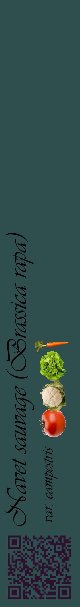 Étiquette de : Brassica rapa var. campestris - format c - style noire58_basiqueviv avec qrcode et comestibilité simplifiée
