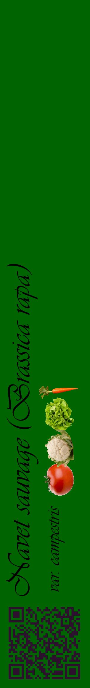 Étiquette de : Brassica rapa var. campestris - format c - style noire8_basiqueviv avec qrcode et comestibilité simplifiée