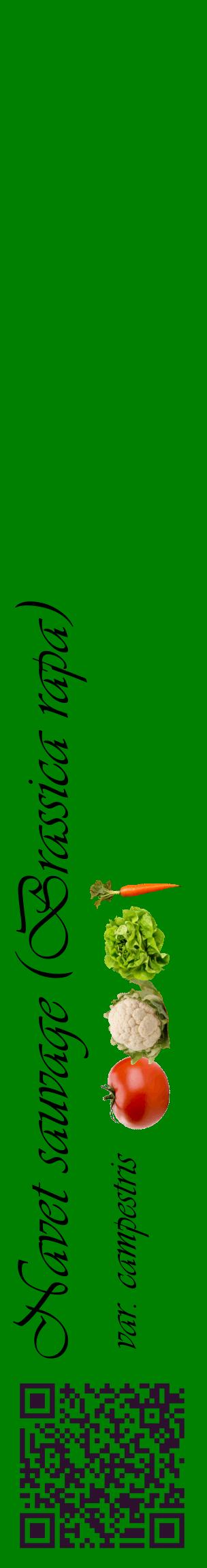 Étiquette de : Brassica rapa var. campestris - format c - style noire9_basiqueviv avec qrcode et comestibilité simplifiée