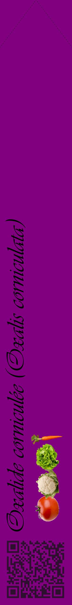 Étiquette de : Oxalis corniculata - format c - style noire46_simpleviv avec qrcode et comestibilité simplifiée