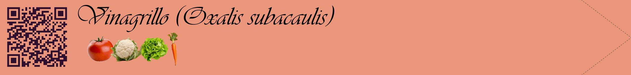 Étiquette de : Oxalis subacaulis - format c - style noire37simple_basique_basiqueviv avec qrcode et comestibilité simplifiée