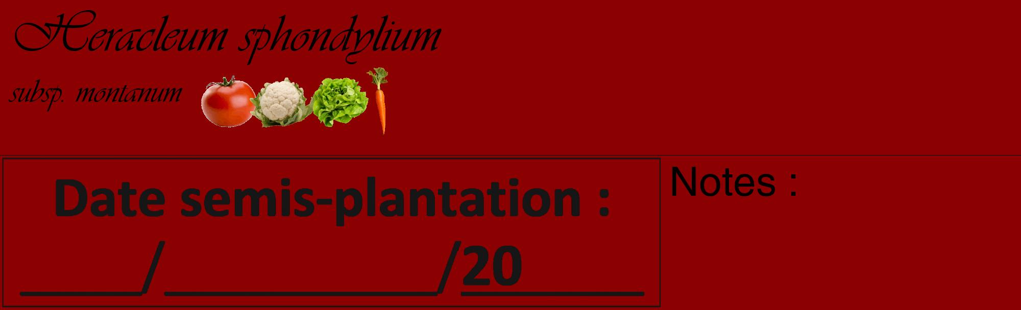 Étiquette de : Heracleum sphondylium subsp. montanum - format c - style noire34basique_basique_basiqueviv avec comestibilité simplifiée