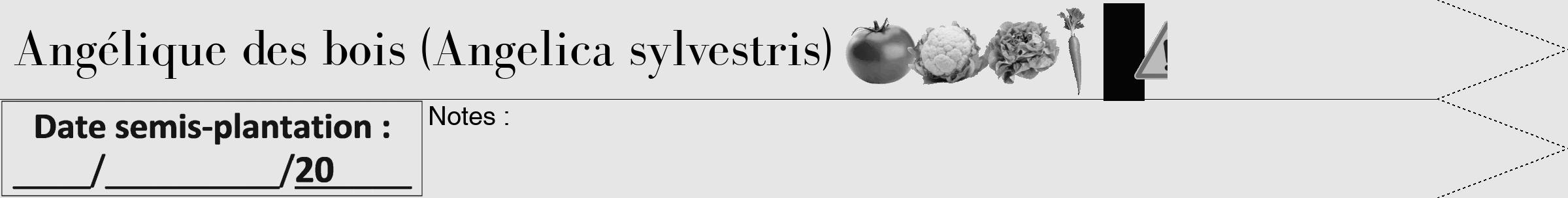 Étiquette de : Angelica sylvestris - format b - style noire18bod avec comestibilité simplifiée