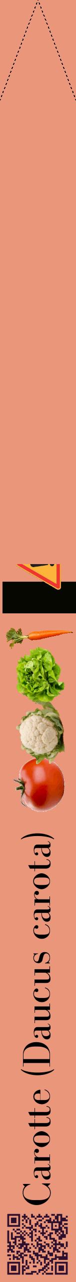 Étiquette de : Daucus carota - format b - style noire37bod avec qrcode et comestibilité simplifiée