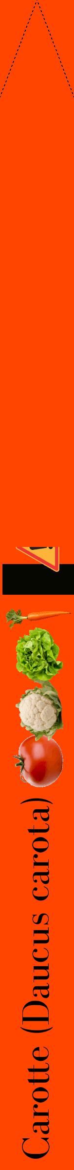 Étiquette de : Daucus carota - format b - style noire26bod avec comestibilité simplifiée