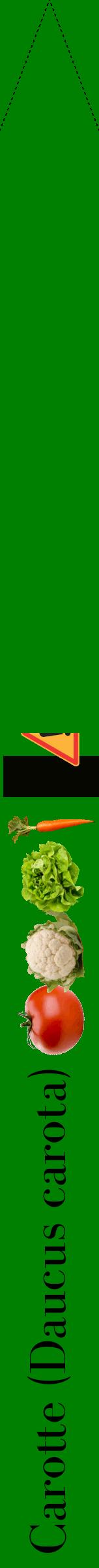 Étiquette de : Daucus carota - format b - style noire9bod avec comestibilité simplifiée