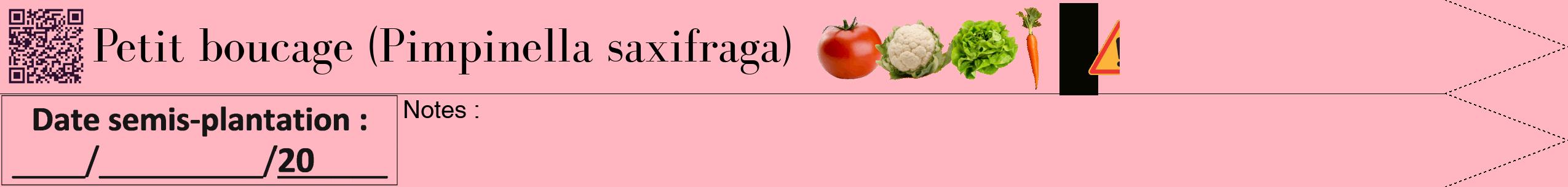 Étiquette de : Pimpinella saxifraga - format b - style noire41bod avec qrcode et comestibilité simplifiée