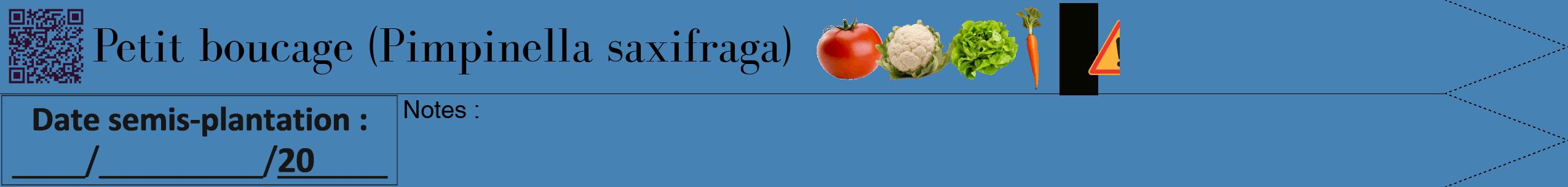 Étiquette de : Pimpinella saxifraga - format b - style noire5bod avec qrcode et comestibilité simplifiée
