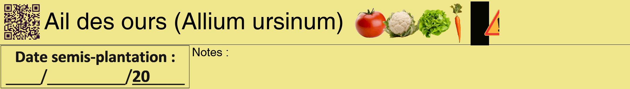 Étiquette de : Allium ursinum - format a - style noire20hel avec qrcode et comestibilité simplifiée