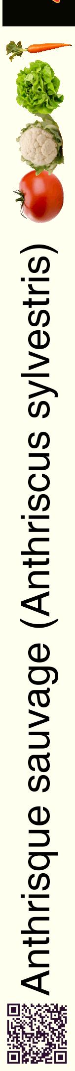 Étiquette de : Anthriscus sylvestris - format a - style noire19hel avec qrcode et comestibilité simplifiée