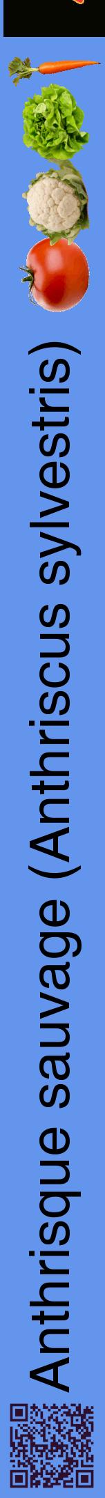 Étiquette de : Anthriscus sylvestris - format a - style noire4hel avec qrcode et comestibilité simplifiée