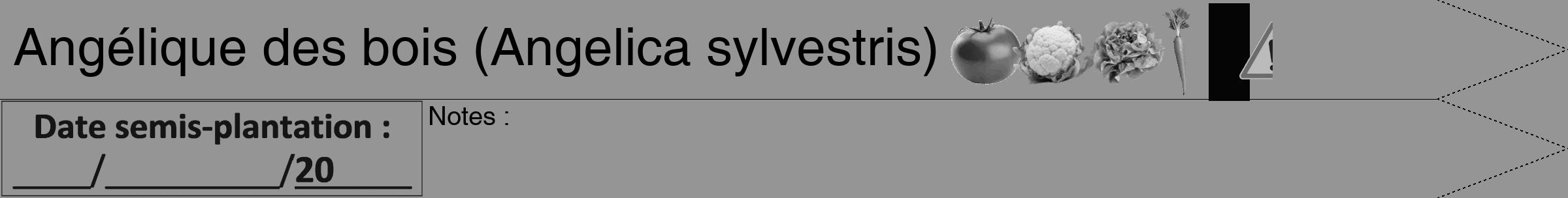 Étiquette de : Angelica sylvestris - format b - style noire16hel avec comestibilité simplifiée