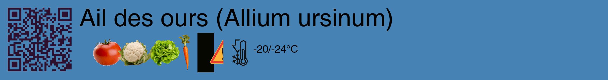 Étiquette de : Allium ursinum - format c - style noire5_basique_basiquehel avec qrcode et comestibilité simplifiée