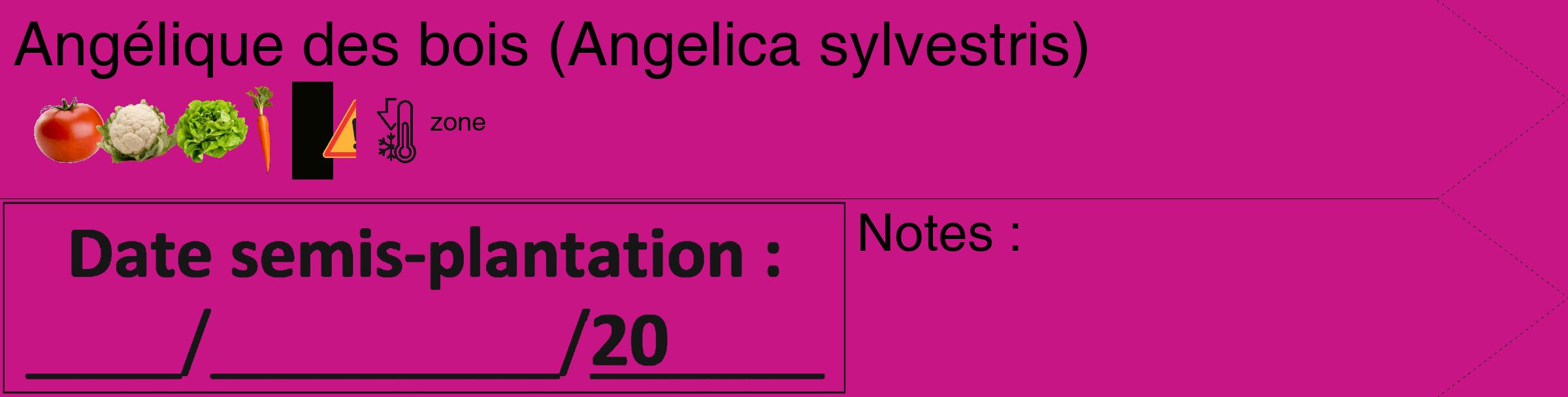 Étiquette de : Angelica sylvestris - format c - style noire45_simple_simplehel avec comestibilité simplifiée