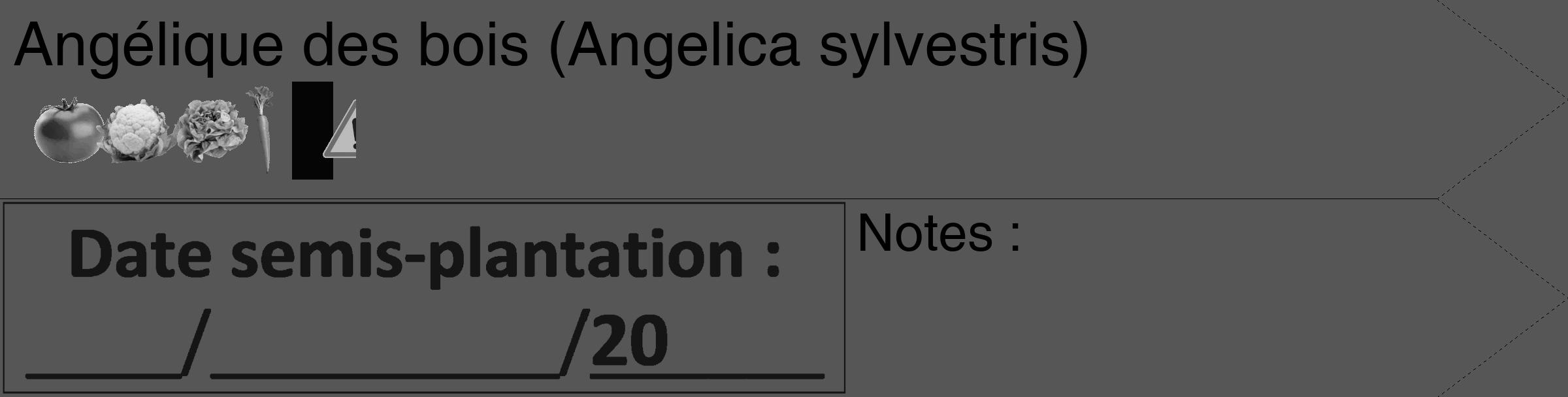 Étiquette de : Angelica sylvestris - format c - style noire45_simple_simplehel avec comestibilité simplifiée