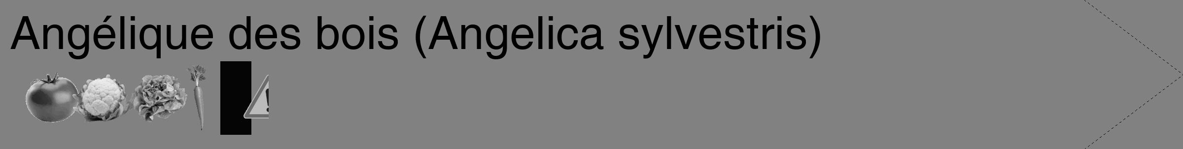 Étiquette de : Angelica sylvestris - format c - style noire50_simple_simplehel avec comestibilité simplifiée