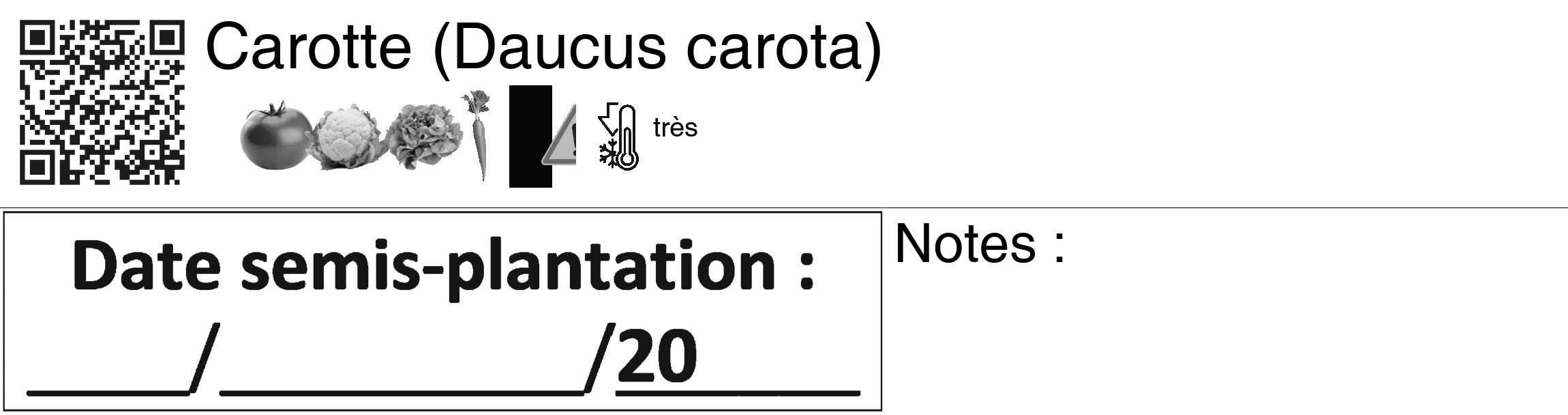 Étiquette de : Daucus carota - format c - style noire60_basiquegrrvhel avec qrcode et comestibilité simplifiée