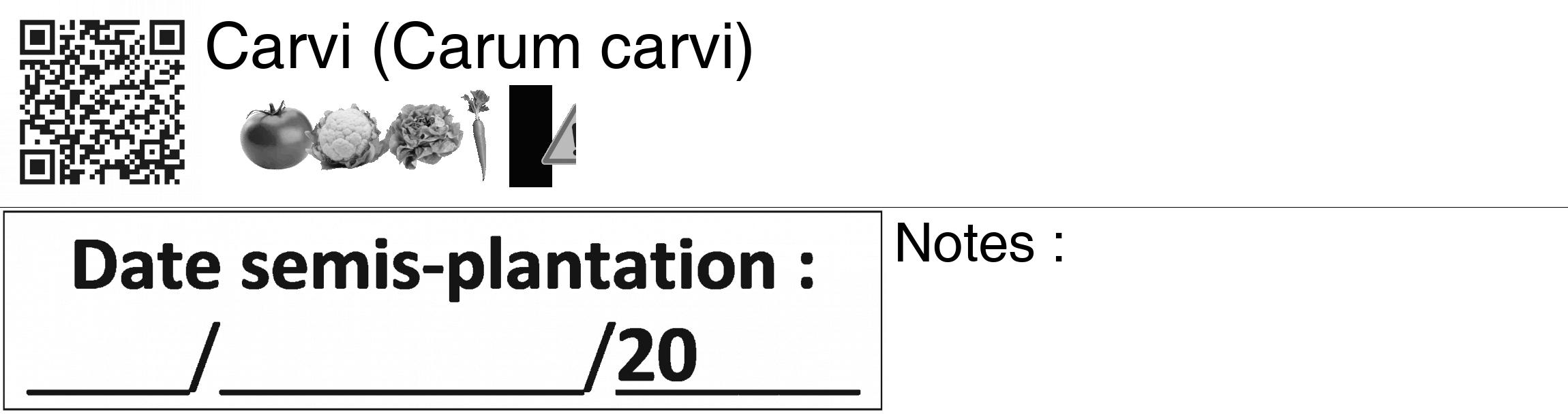 Étiquette de : Carum carvi - format c - style noire60_basiquegrrvhel avec qrcode et comestibilité simplifiée