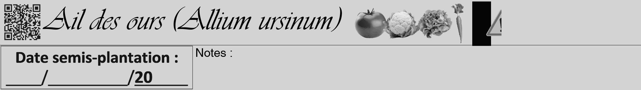 Étiquette de : Allium ursinum - format a - style noire56viv avec qrcode et comestibilité simplifiée