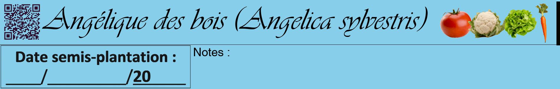 Étiquette de : Angelica sylvestris - format a - style noire1basiqueviv avec qrcode et comestibilité simplifiée