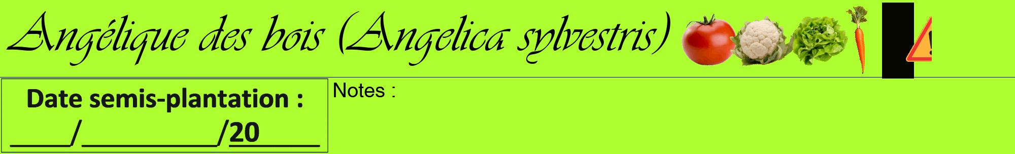 Étiquette de : Angelica sylvestris - format a - style noire17viv avec comestibilité simplifiée