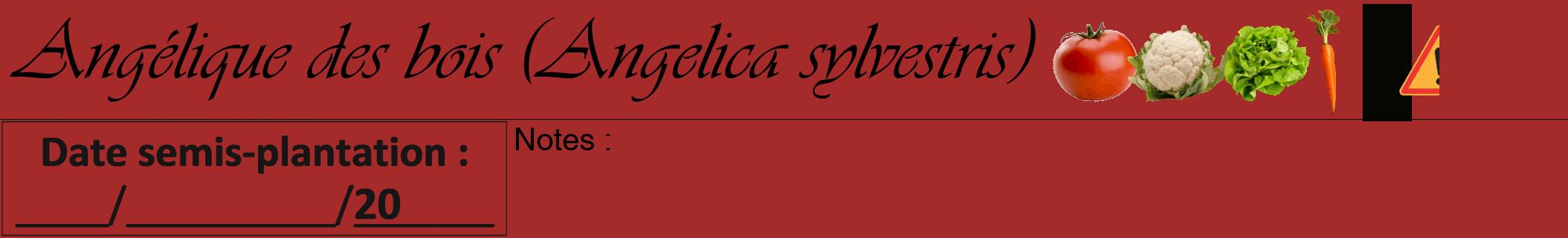 Étiquette de : Angelica sylvestris - format a - style noire33viv avec comestibilité simplifiée