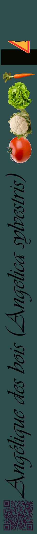 Étiquette de : Angelica sylvestris - format a - style noire58viv avec qrcode et comestibilité simplifiée