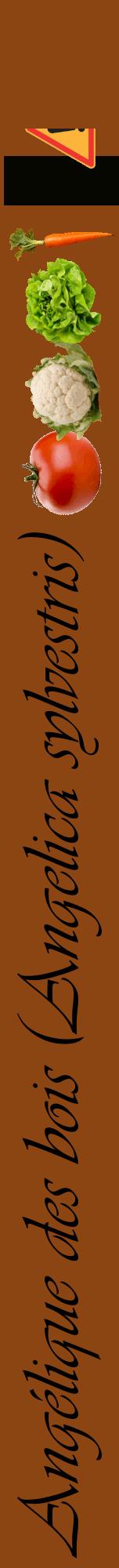 Étiquette de : Angelica sylvestris - format a - style noire30viv avec comestibilité simplifiée