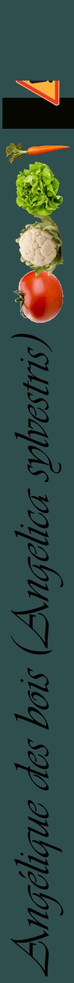 Étiquette de : Angelica sylvestris - format a - style noire58viv avec comestibilité simplifiée