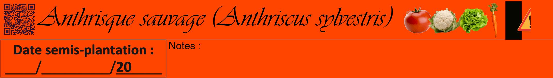 Étiquette de : Anthriscus sylvestris - format a - style noire26viv avec qrcode et comestibilité simplifiée
