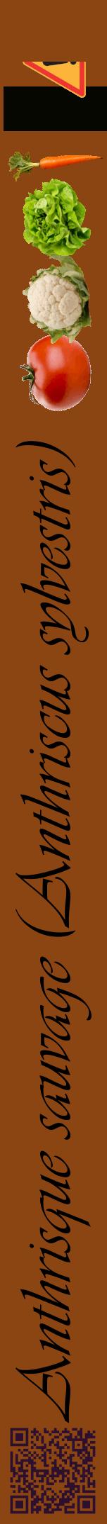 Étiquette de : Anthriscus sylvestris - format a - style noire30viv avec qrcode et comestibilité simplifiée