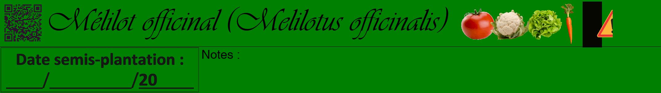 Étiquette de : Melilotus officinalis - format a - style noire9simpleviv avec qrcode et comestibilité simplifiée